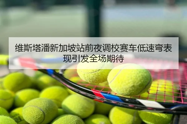 维斯塔潘新加坡站前夜调校赛车低速弯表现引发全场期待